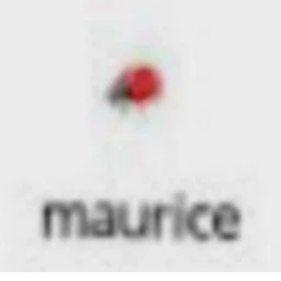 fight maurice boss battle icon