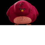 biggest bird fan group