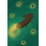 Mighty Axolotl kingdom