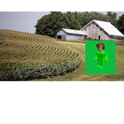 green screen man the farmer