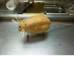 The Potato Rats