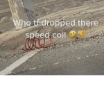 Seq's Cult