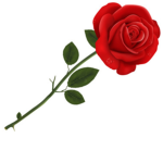 Roses Studios