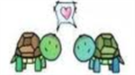 TURTLE LOVERS