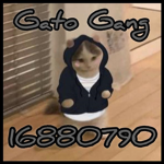Gato Gang$