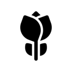 Petals Studio