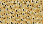 grupo de memes de perros