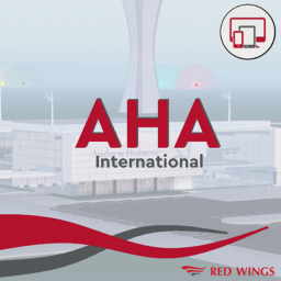 Andrew Holness International Airport