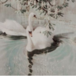 onlyangels.