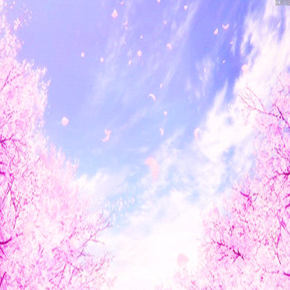 Sakura Sky