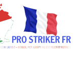 PRO STRIKER FR