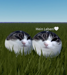 WirSindKekse