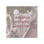 Kxlopsia clothing
