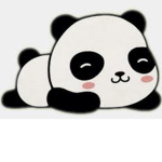 Panda group/boutique