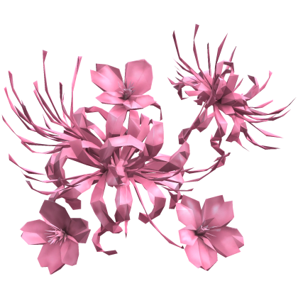 美しい花 pink spider lily flower cluster