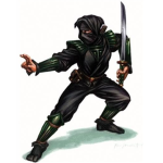 The ninemillion ninjas