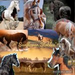 .*~Sunflower stables~*.