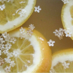 ★𐔌 ˚ * ‧..˚✧