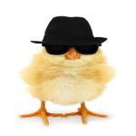 Da lazy birdz