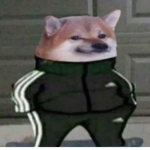 Bobux213714