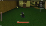IPlayRogue