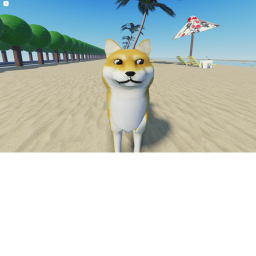 RIDE TO DOGE BEACH