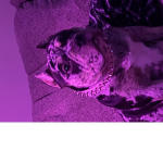 Lulusworld87
