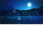 The extraordinary night