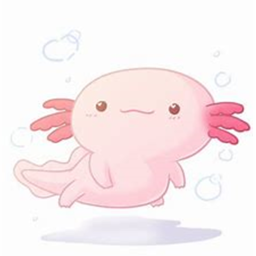 axolotl KINGDOMMM