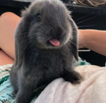 >,…,<