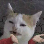 ITsHZ Community