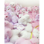 I love llama group