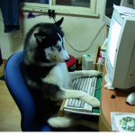 husky>studios