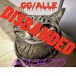 .gg/alle