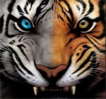 Electrical Tigerz-ZzzzzTzzZzzT