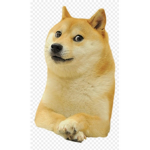 Doges Legion