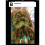#teamAva