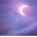 •little moon•