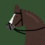 Happy Hooves Equine College
