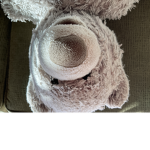 The beary mc bear sins