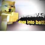 the people that have ROBUX joins