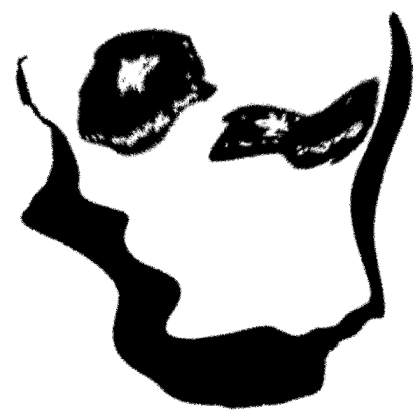 Scary face distorted Roblox decal