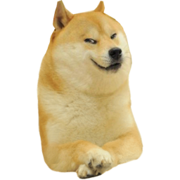 doge vs cats