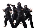 Elite Ninja training