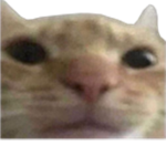 ChileRPStudios || Whitelist
