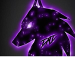 (The Shadow squad group)