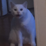 meoaz