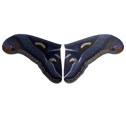 Dark Lunar Emperor Moth Wings