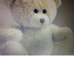Teddy group join