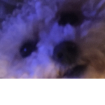 This for Charlie